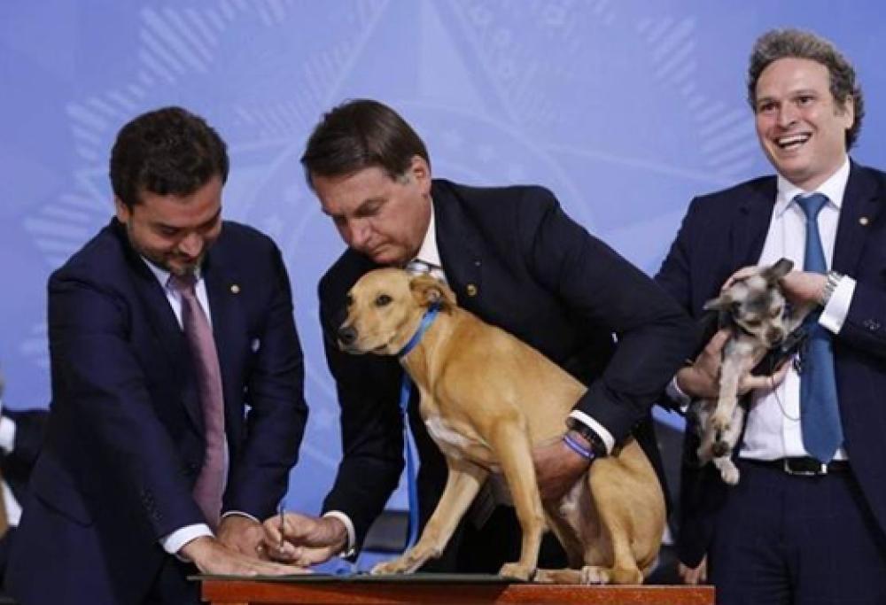 Bolsonaro fa firmare al suo cane una legge contro il maltrattamento di animali