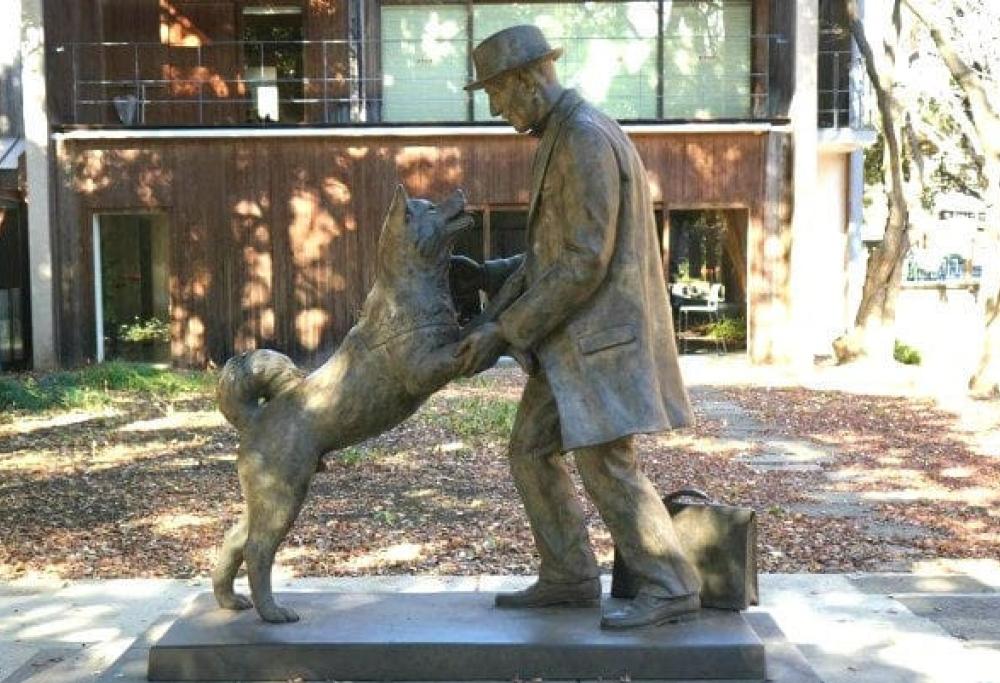 Hachiko ha ritrovato il suo "amico umano": la statua che li celebra insieme