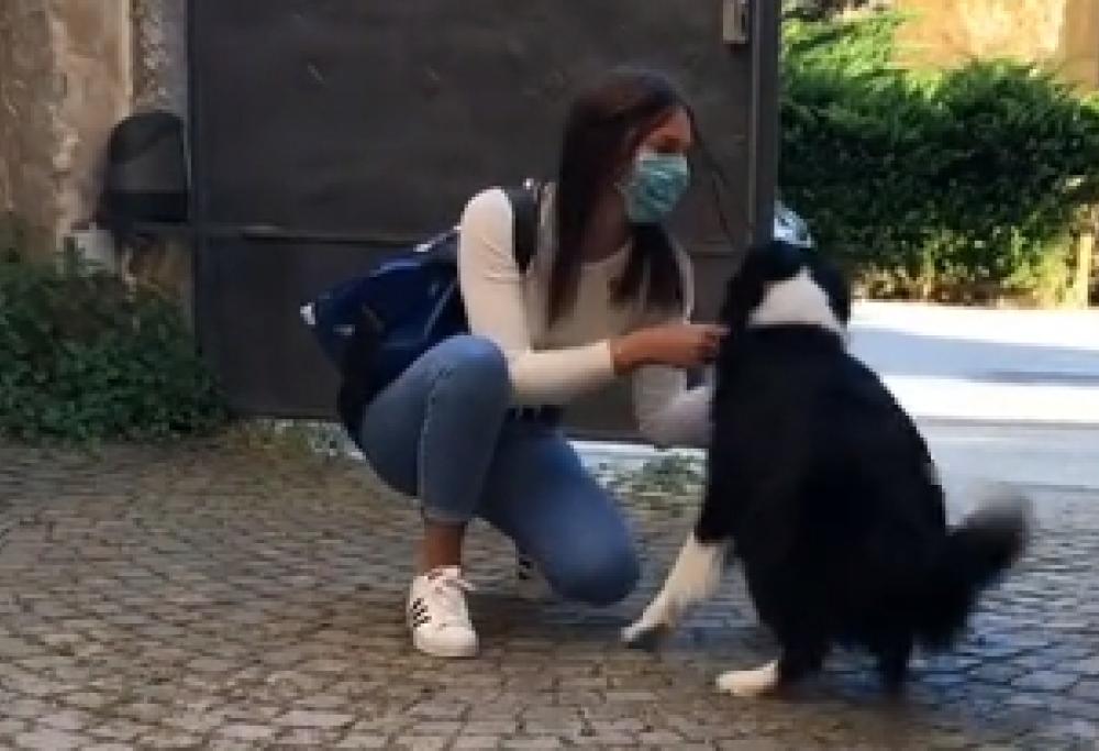 Rivede la padrona dopo 2 mesi: la reazione del cane commuove il web