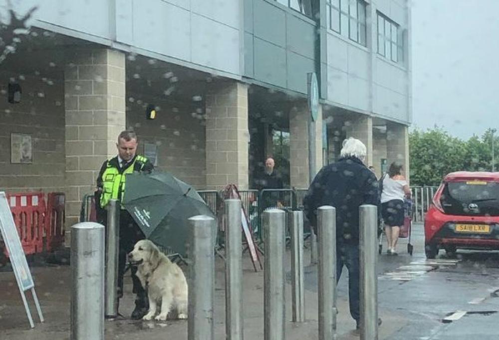 La guardia che protegge un cane dalla pioggia è la cosa più dolce che vedrai oggi