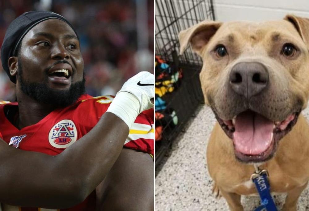 Campione del Super Bowl paga le tasse di adozione per tutti i cani di un rifugio
