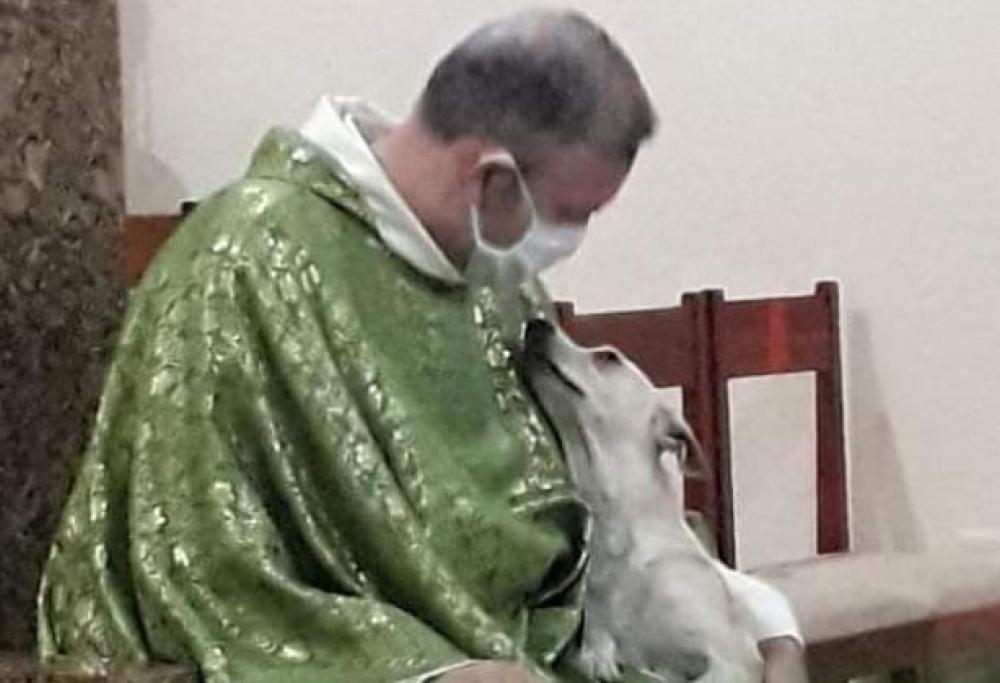 Questo prete brasiliano porta i cani abbandonati a messa per farli adottare