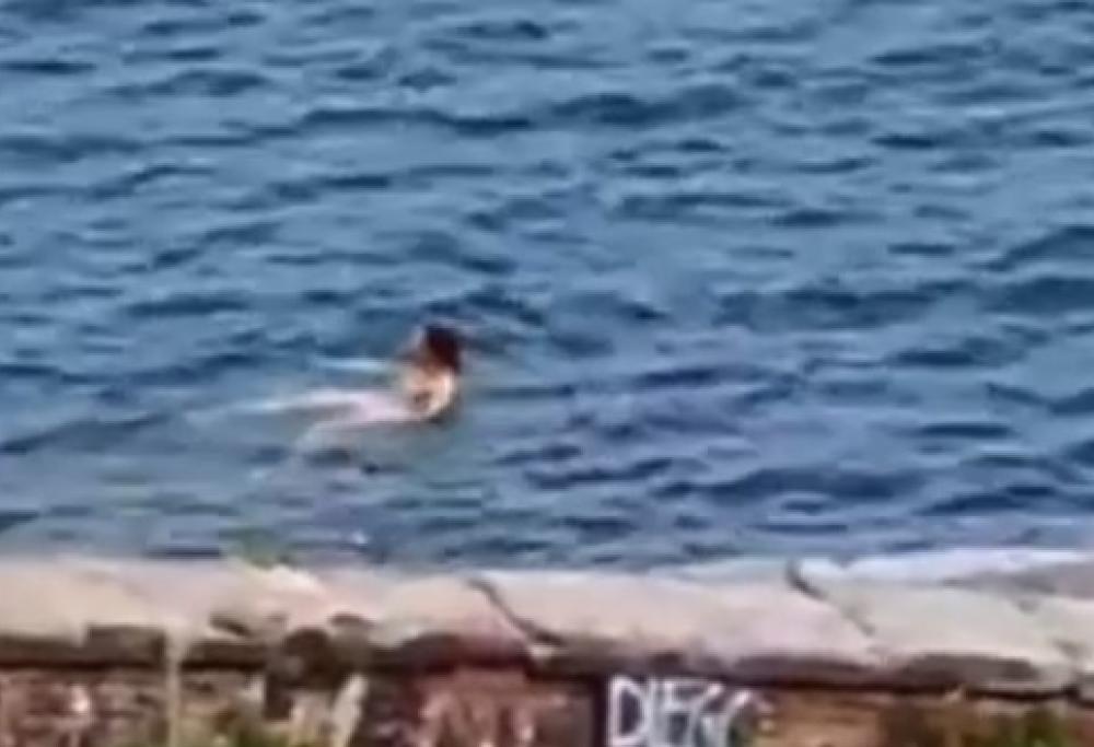 A Napoli una donna viola le regole per un tuffo in mare: multata