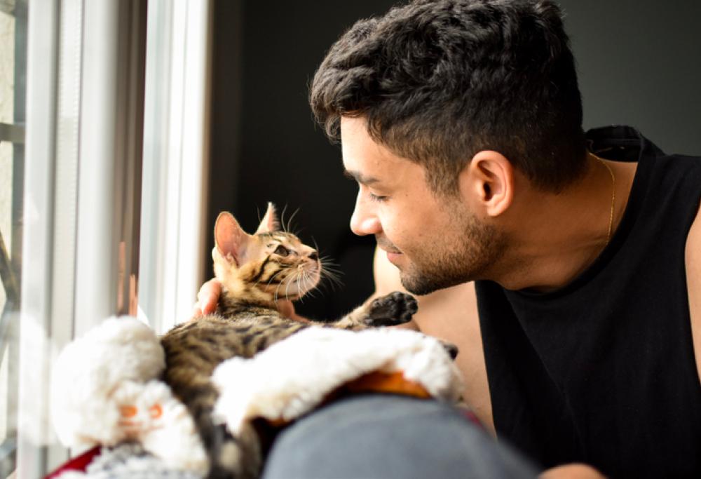 Gli uomini che amano i gatti piacciono meno alle donne: la ricerca