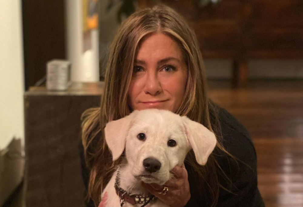 Jennifer Aniston posta la foto con l'addobbo di Natale a tema Covid e scatena la polemica