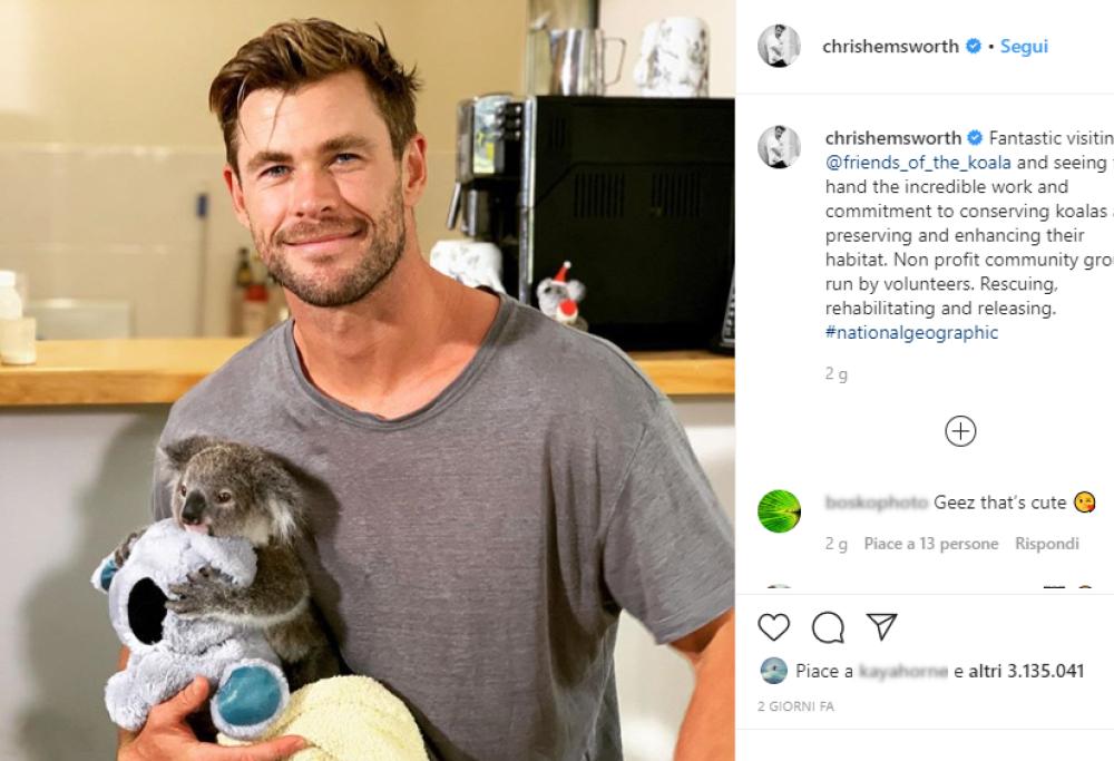 La foto di Chris Hemsworth con il koala fa il pieno di like
