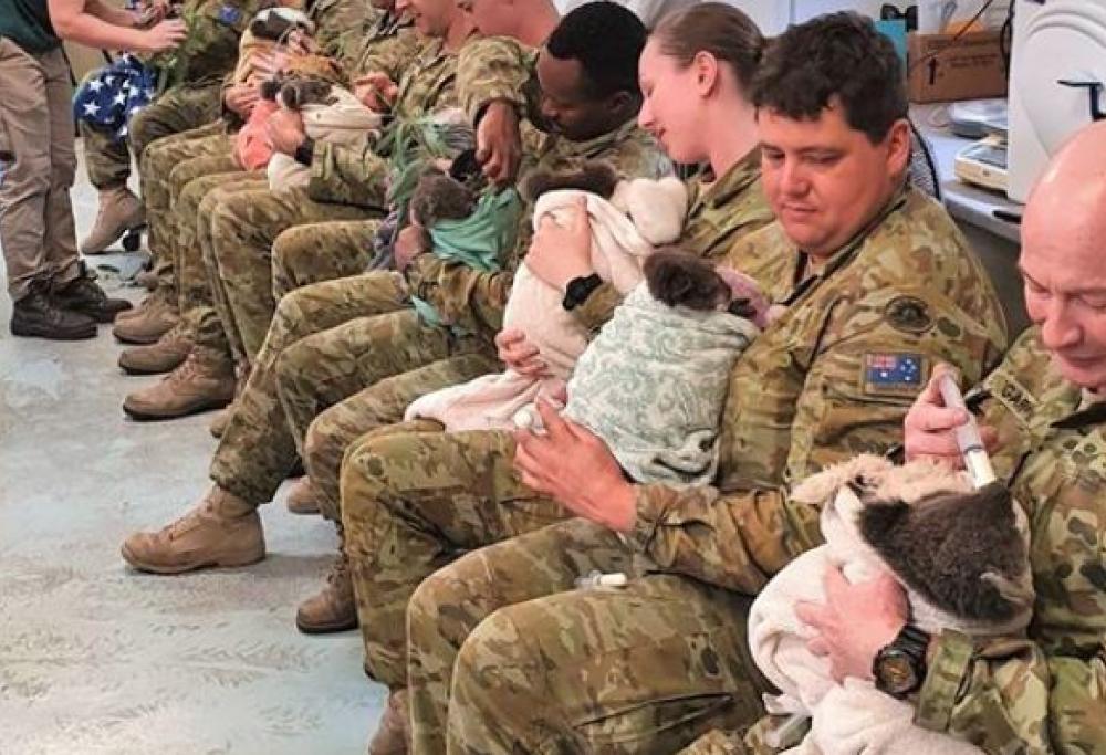 Le emozionanti foto dell'esercito che si prende cura dei koala in Australia