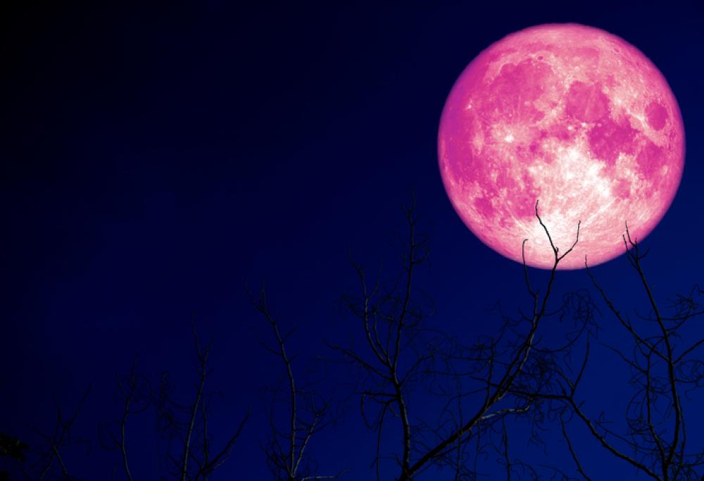 In arrivo la spettacolare eclissi di "Luna delle fragole": ecco cosa significa