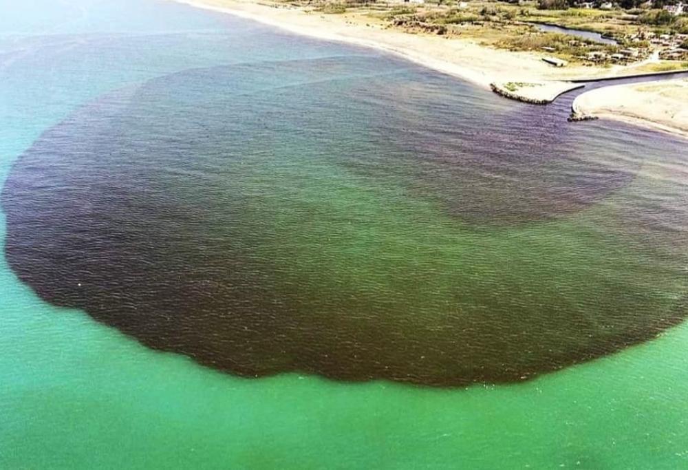 Con la fase 2 è tornato l'inquinamento: una macchia nera invade il mare a Caserta