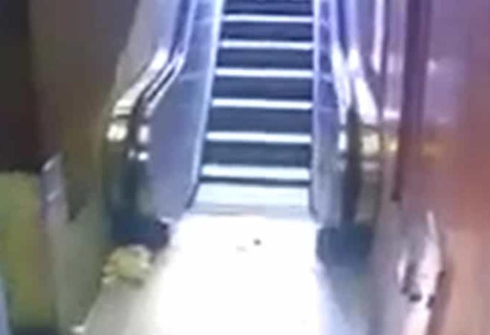 Donna defeca sulle scale mobili della metro a Milano: le telecamere riprendono tutto