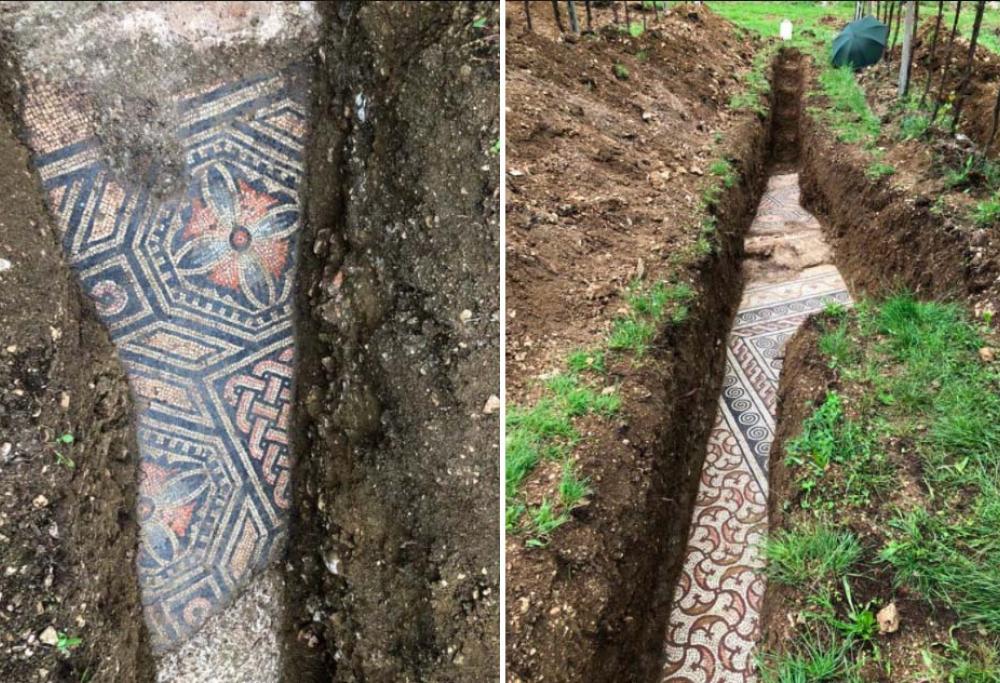 Scoperto un mosaico meraviglioso sotto i vigneti in Valpolicella