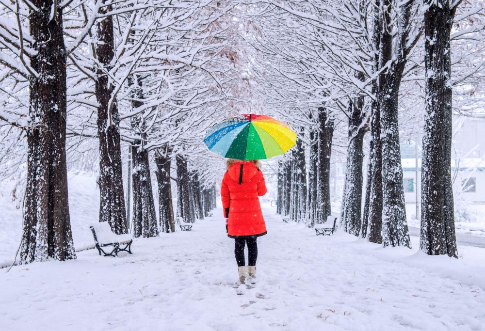 Arriva il freddo (quello vero) insieme alla neve