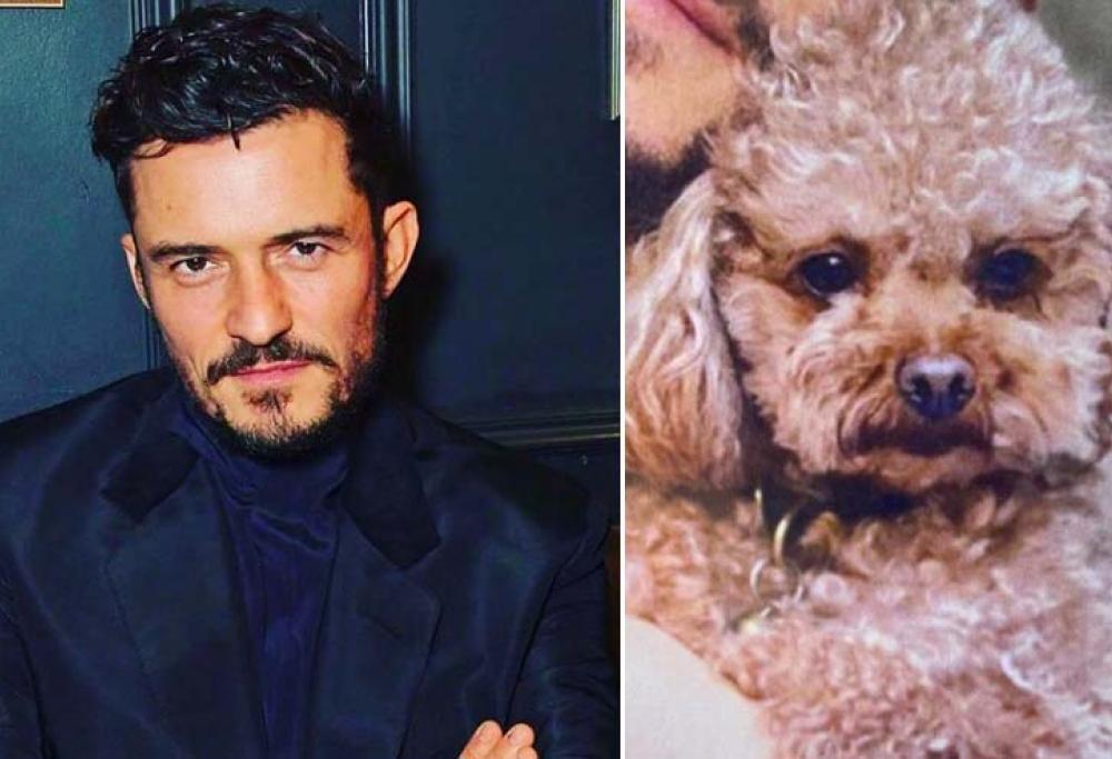 Orlando Bloom è disperato per il suo cagnolino smarrito: “Aiutatemi, ho il cuore spezzato”
