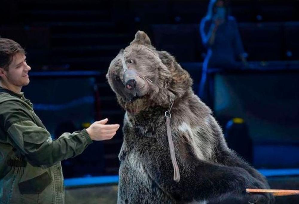 Aspirante addestratore entra di nascosto nella gabbia dell'orso e viene sbranato