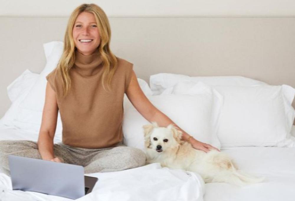 "Vulva Book": l'idea regalo per Natale proposta da Gwyneth Paltrow