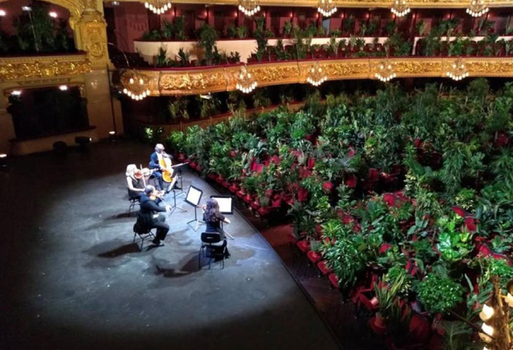 Concerto d'archi per un pubblico di 2.292 piante: l'iniziativa del Teatro dell'Opera di Barcellona
