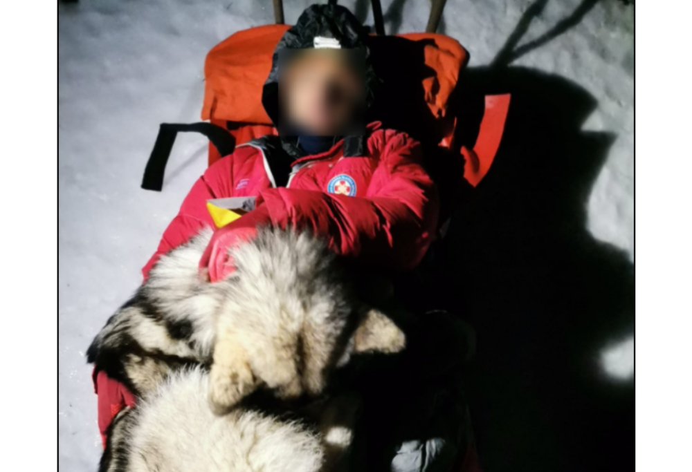 Cane salva la vita al suo padrone caduto in un carpaccio Radio 105