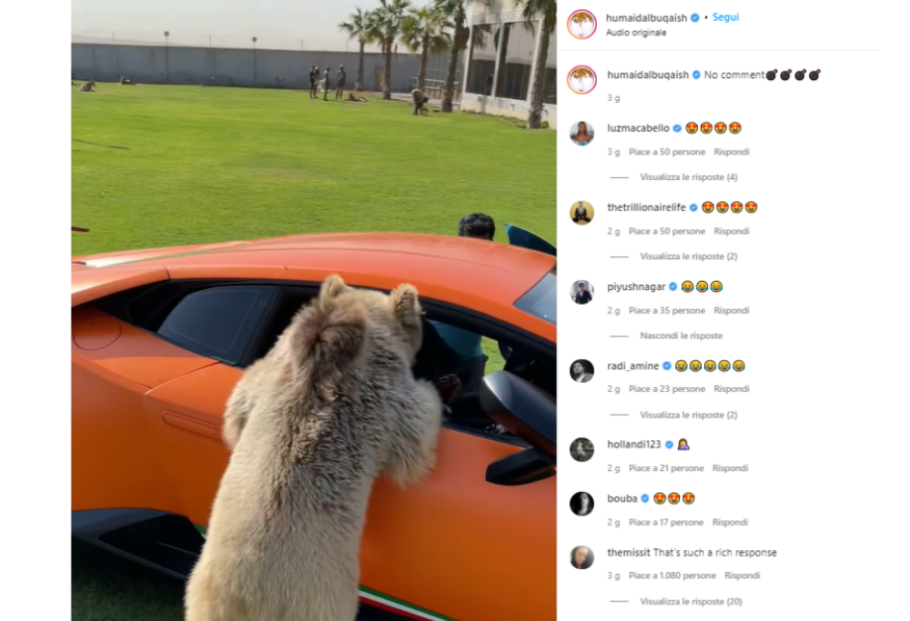 L’orso “domestico” dello sceicco gli stacca la portiera della Lamborghini