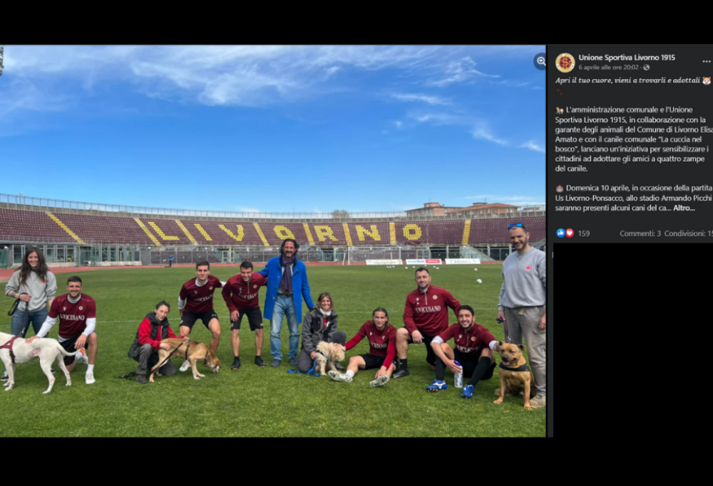 I calciatori del Livorno in campo con i cani in cerca di famiglia