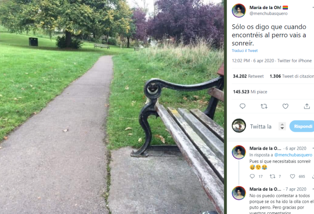 Un musetto spunta dalla panchina. Lo vedete? 