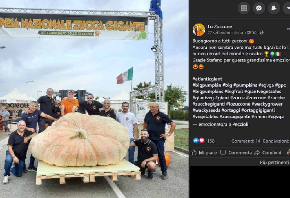 È italiana la zucca più grande del mondo e si trova in Chianti