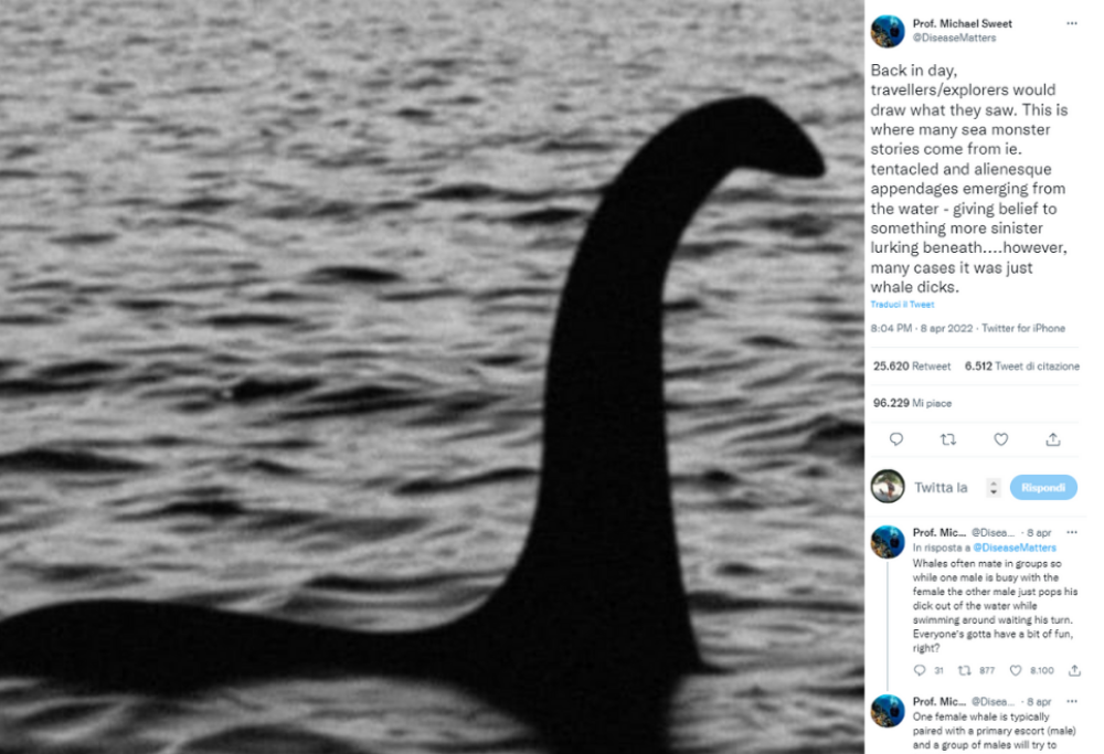 E se il mostro di Loch Ness fosse in realtà un pene di balena? 
