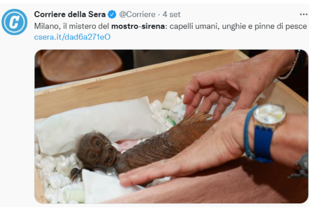 Al Museo di Storia Naturale di Milano c’è una sirenetta mostruosa