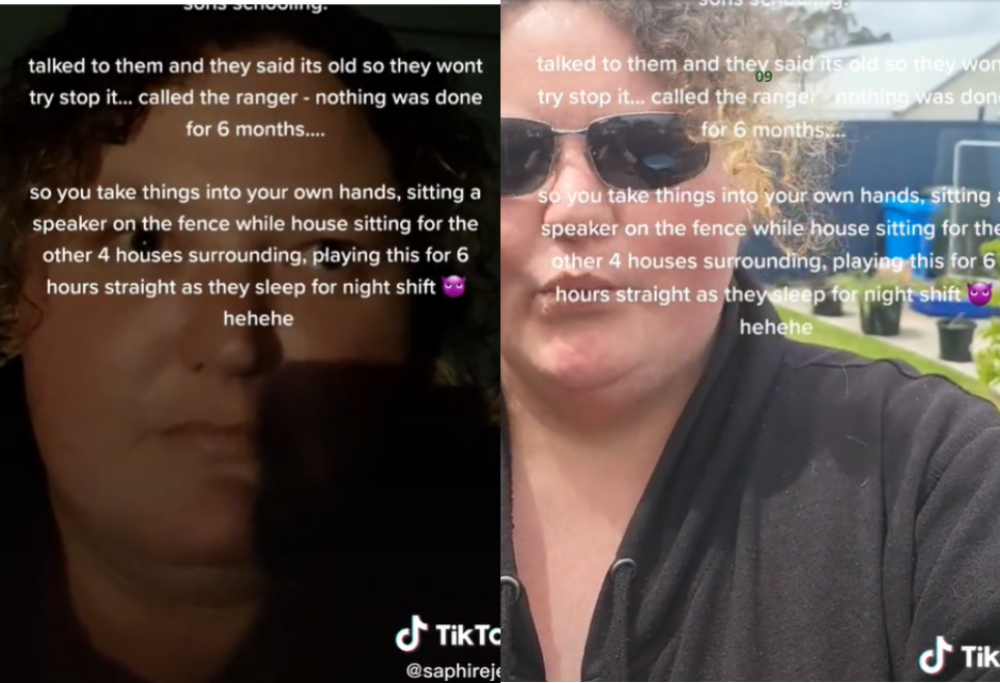 Il cane abbaia? I vicini mettono per 6 ore a palla “Who let the dogs