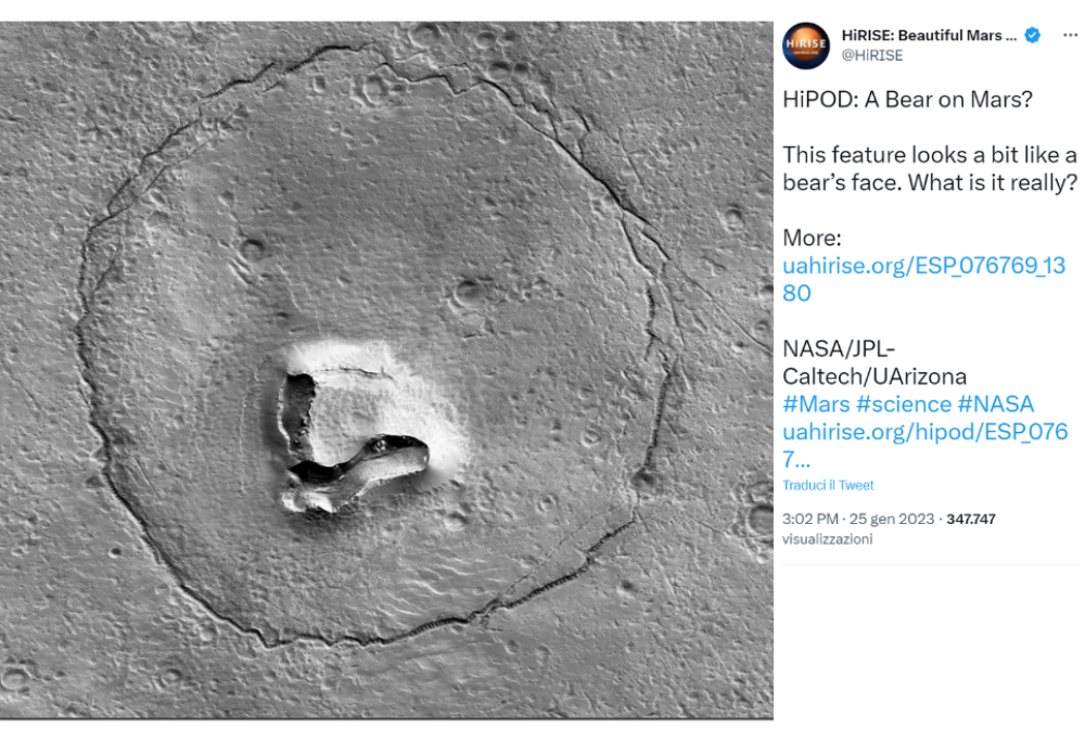 Un orso su Marte? La buffa foto della Nasa fa sorridere tutti
