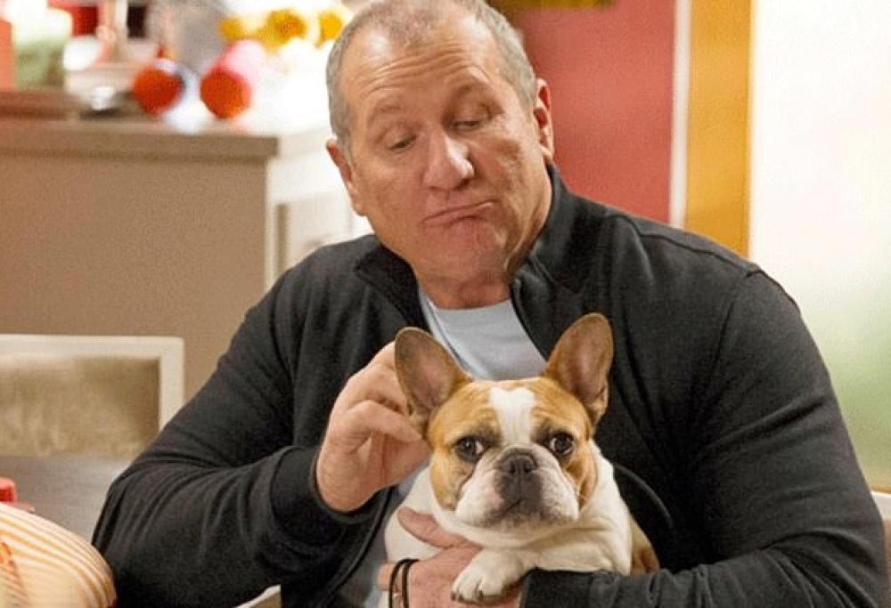 Addio alla cagnolina Stella di "Modern Family" (presente dal 2012)