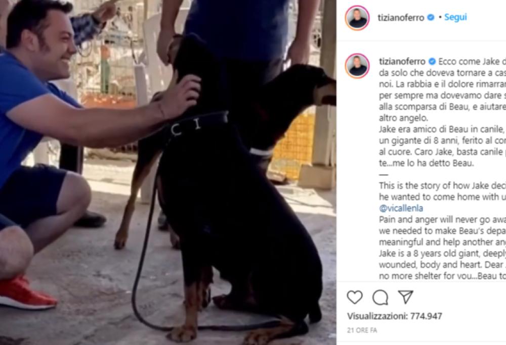 Un nuovo cane per Tiziano Ferro: “Me lo ha detto Beau”