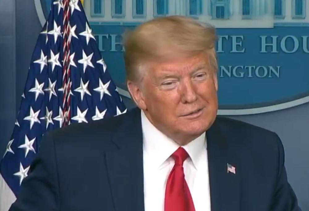 Chiedono a Trump se grazierebbe Joe Exotic di Tiger King e lui risponde: “Ci penserò”