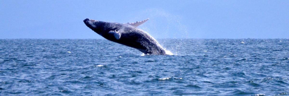 Avventura ed Eco-Turismo in Repubblica Dominicana