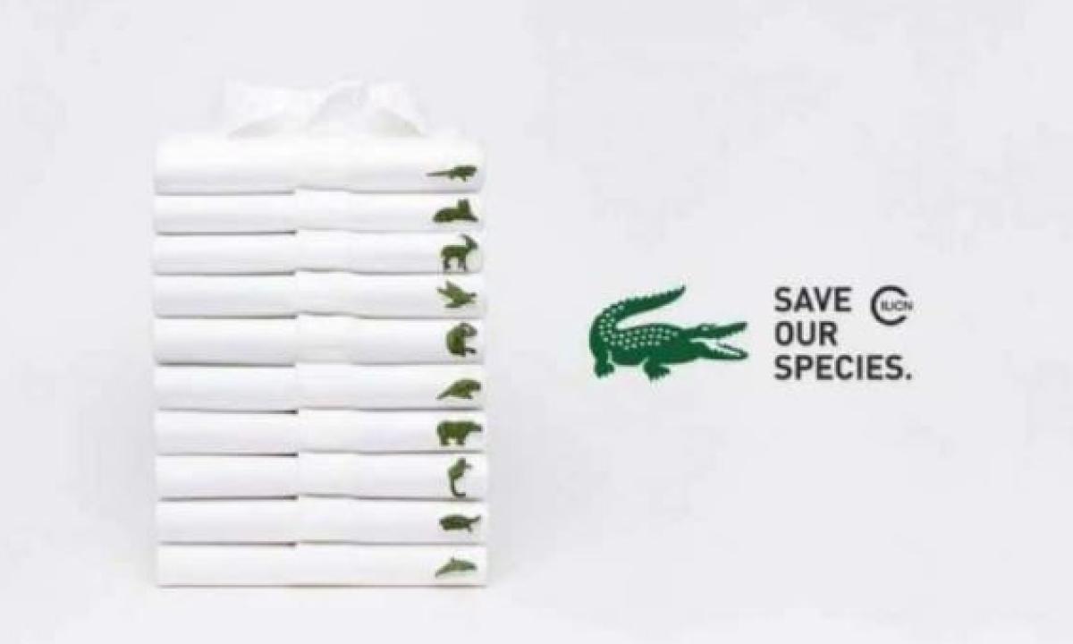 maglia con coccodrillo