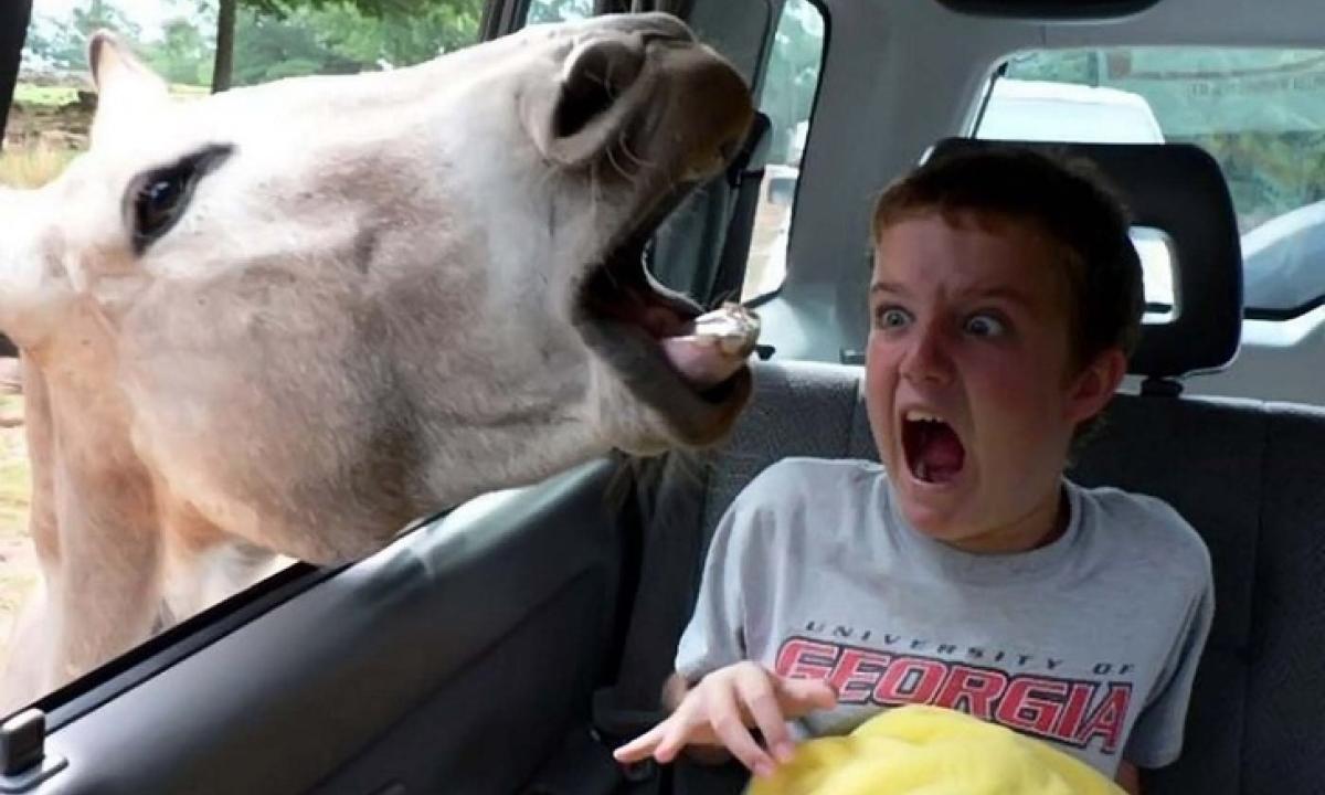 10 Esilaranti Foto Di Vacanze Scattate Nel Momento Giusto Foto 1 Di 10 Radio 105