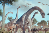 Non possiamo vivere fino a 200 anni, ed è colpa dei dinosauri