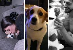 Cecilia Rodriguez e Ignazio Moser in lutto: è morto il cane Aspirina
