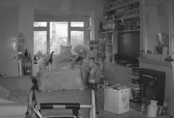 Filma il fantasma del suo gatto un anno dopo la morte: video