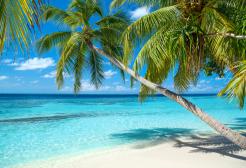 Cerchi il mare e l&rsquo;estate tutto l&rsquo;anno e all&rsquo;improvviso... EDEN VIAGGI!