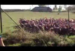 I cori dei "Tacchini Ultras"