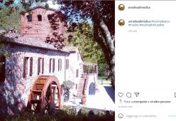 Il Mulino Bianco finisce all’asta dall’Istituto Vendite Giudiziarie di Siena 
