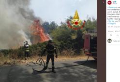 Cane pastore resta a difendere le pecore tra le fiamme: “perde pezzi di pelle”

