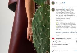 Pelle di cactus: ecologica e sembra vera!