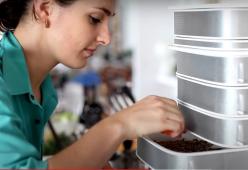Su Kickstarter puoi finanziare la fattoria da cucina per insetti commestibili 
