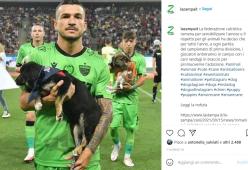 Romania: in serie A cani randagi in campo per favorire le adozioni
