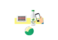 Hai perso "105 Start-up"? Riascolta la storia di Anna Rita Mastrangelo Founder di Eattrace