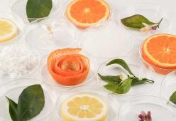 Hai perso "105 Start-up"? Riascolta la storia di Enrica Arena Founder di Orange Fiber