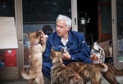 Vive a Fukushima per nutrire gli animali abbandonati
