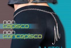 Mitch ft. Fabiola - Non capisco non concepisco