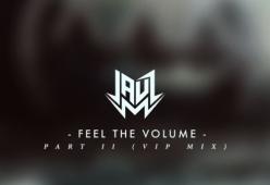 Feel The Volume, Pt. II (VIP Mix)